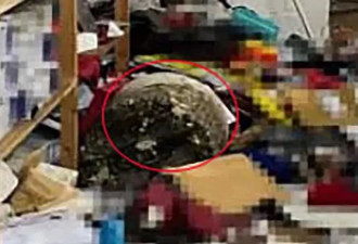 银行金库墙半米厚，盗贼搬来40斤超大钻机