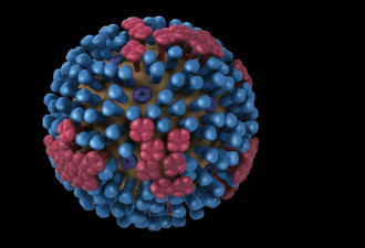 H3N2横扫全美"超级流感"病例暴增!专家:挑战免疫力