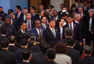 “一带一路”国家在中国贸易顺差中所占份额超过美国
