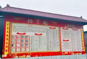 山东300户村庄出了17位博士55位硕士和104位本科生
