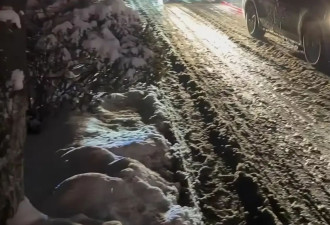 洛阳跨年夜突降大雪多条高速封闭 大批游客返程被堵