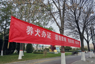 最严养犬规定上路 脑洞大开推“行狗记录器”