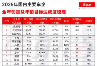 2025年中国车市成绩单：比亚迪成最大赢家