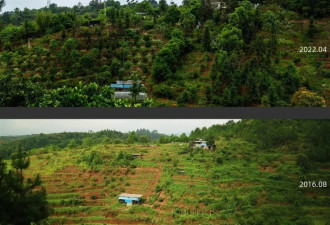 夫妻返乡种地七年又回到城市 遭遇了怎样的困境？