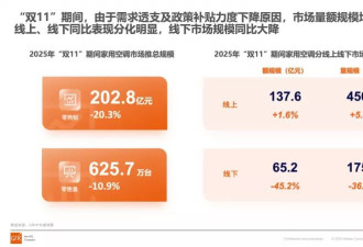 没人逛的家电大卖场，终于等来救兵了