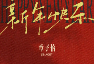 章子怡哥哥新年晒结婚20周年！全家福人丁兴旺