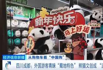 中国持续扩大免签官媒:外国游客追求深度文化体验