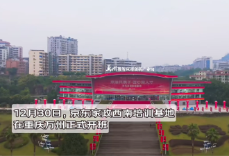 动真格了 刘强东狂砸10亿搞家政
