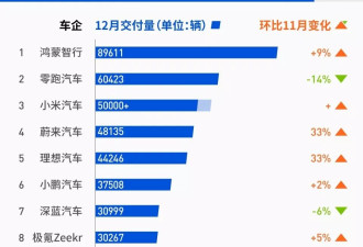中国造车新势力2025年成绩单:零跑居首,小米超理想