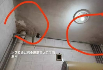 房屋改造后多处漏雨，报修遭物业领导殴打