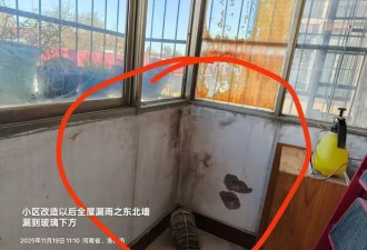 房屋改造后多处漏雨，报修遭物业领导殴打