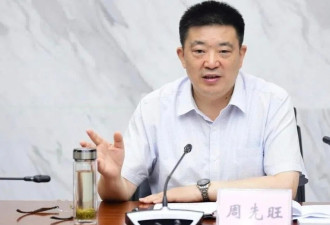 武汉封城市长周先旺 靴子终于落地了