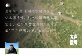 中国最大淡水湖为何缺水?鄱阳湖的低枯水位波及70万鸟群