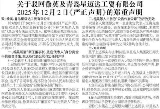 表演式爱国？不能让“美国身份的人”接班