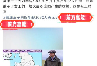 年入3000万美金还喊穷？威廉凯特的账本撕开了英国王室最后的体面