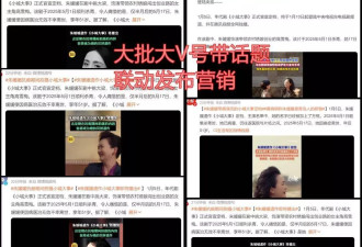 赵丽颖新剧热搜宣传是朱媛媛遗作，网友怒斥吃人血馒头