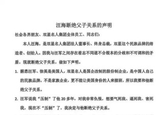 中国大富之家内斗：儿子儿媳是美国人，不能接班