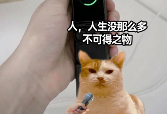 3个电子消费品，成了“吃灰三件套”