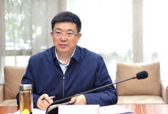 武汉封城时期“说实话”市长周先旺被双开