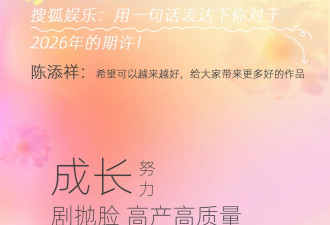 年终企划 | 2025内娱“新”面孔之谁是你心中的短国天降紫微星？