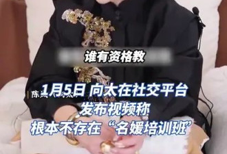 向太表示根本不存名媛培训班：太多人嫉妒方媛了