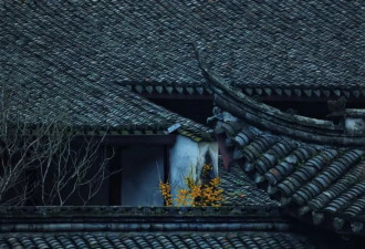 商业泛滥的古镇，该换种打法了
