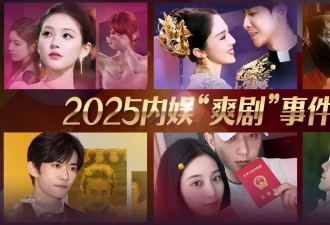2025内娱“爽剧”事件大赏：看辛芷蕾董璇赵露思的破局之年