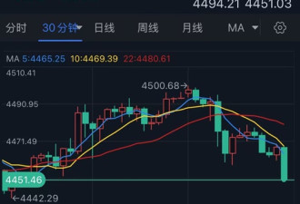 突遭猛烈抛售 金价大跌