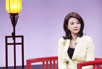 刘芳菲：男友死缓，丈夫入狱，如今又卷入南博风波