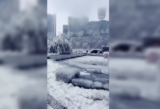 视频震撼! 尼亚加拉瀑布被"冰封"! 本周五回暖, 温度飙至11℃!