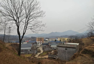 女教师新婚坠亡悲剧：催婚争论背后的相亲、彩礼和后事