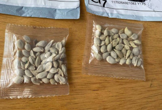 美德州警告：来自中国的“这些包裹” 千万别开