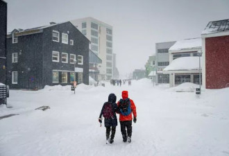 川普虎视眈眈！格陵兰人真实心声: 不想当美国人
