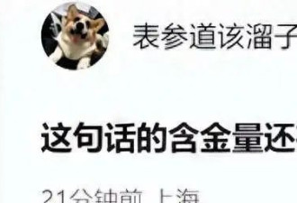 田朴珺回应和王石离婚！王思聪罕见发声，翻出12年前微博讽刺！