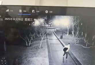 大连公园一黑天鹅被偷后 市民购买两对黑天鹅放生