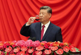德媒：2025年，赢家是习近平
