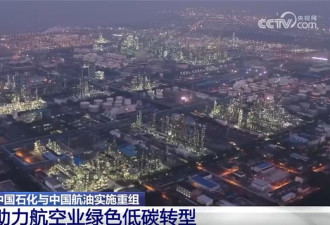 中国两大巨型企业合并