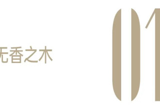 出道十年，宋威龙终于有了花香
