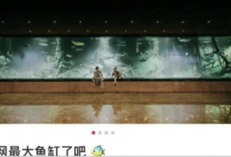 陈志被捕：传妻子是炫富网红，炫富照曝光