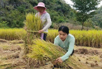 现在为什么都不早恋了？老师看在眼里急在心里