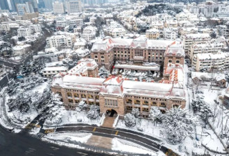 河南“梦幻雪乡”用棉花当白雪 游客负评灌爆平台