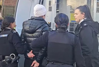 女子在伦敦广场喂鸽子，被戴上了手铐还得交罚款