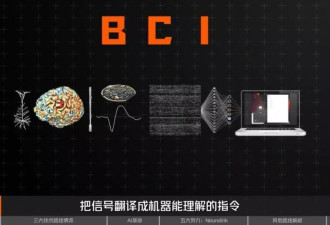 脑机接口大盘点：谁在引领这场“读心术”革命？