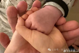 古巨基生二胎，老婆57岁！高龄生育引猜测