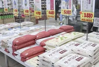 高市早苗欲重选一把，这是怎样的豪赌？