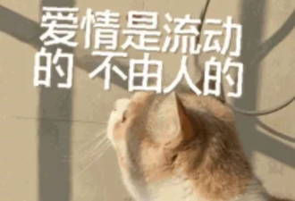 年轻人离婚背后的真实原因