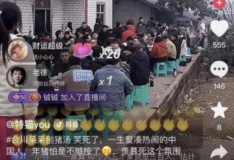 重庆一女子不会杀猪网上求助，上千网友驱车来帮忙