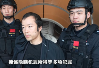 热议：太子集团幕后是真太子？