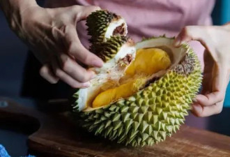 "榴梿界的爱马仕"：抢食中国千亿胃口的奢华水果