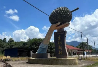 "榴梿界的爱马仕"：抢食中国千亿胃口的奢华水果
